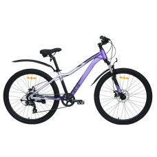 Велосипед TechTeam Elis 26"х14 фиолетовый