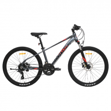 Велосипед TechTeam Neon 26"х16 серый